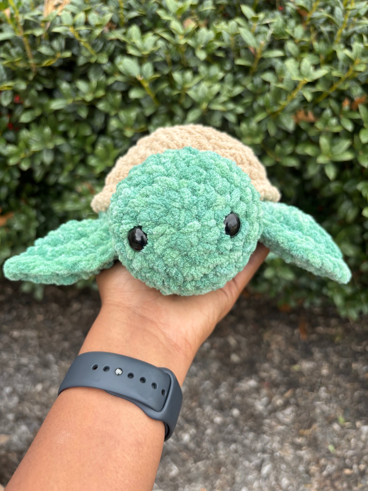 Spearmint & Light Brown Turtle