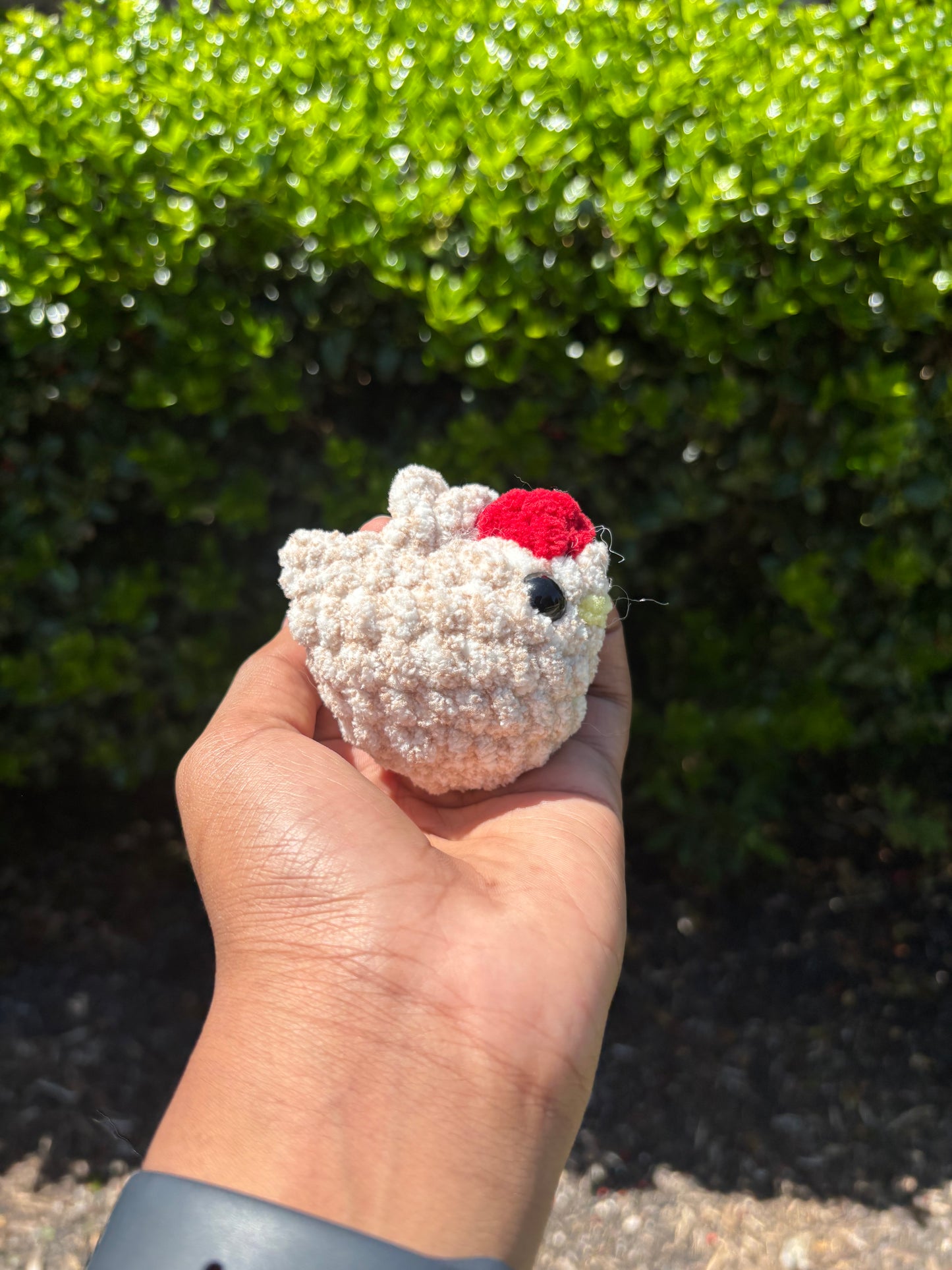 Mini Cream Speckled Chicken