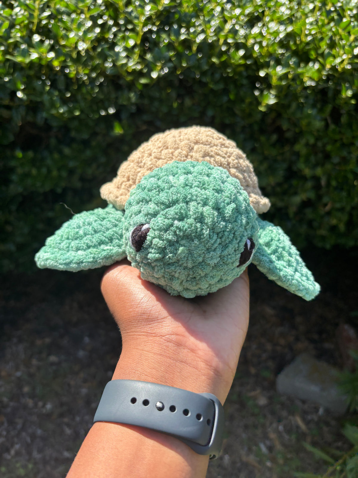 Mystical Green & Brown Turtle