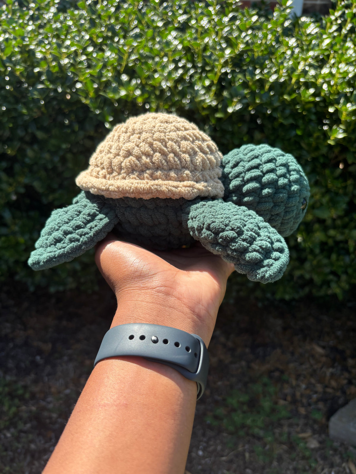 Dark Green & Brown Turtle