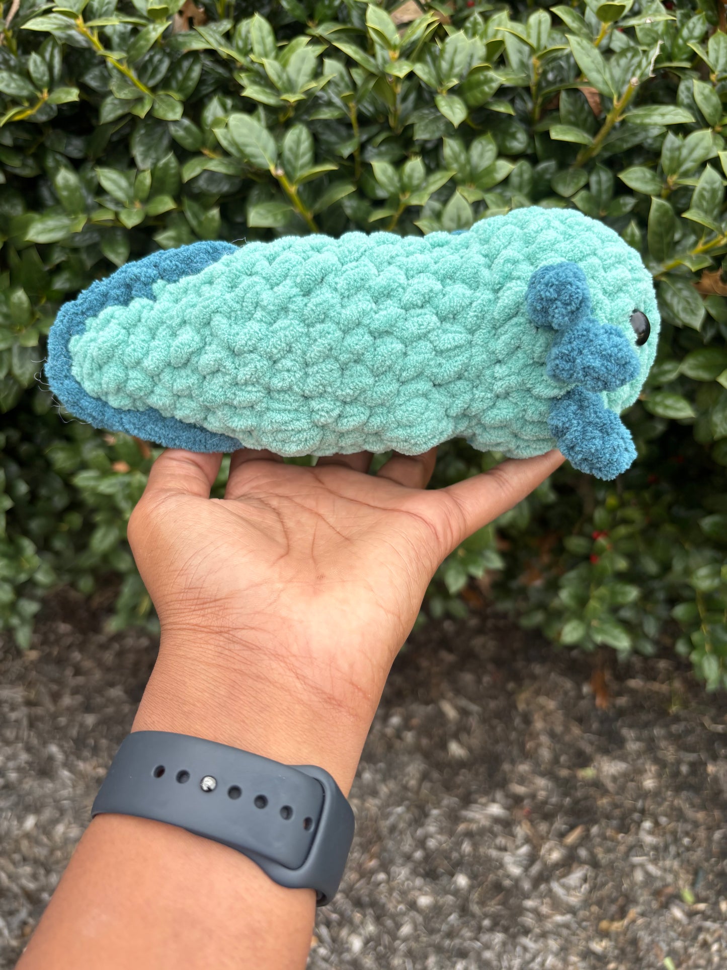 Light Teal & Dark Teal Axolotl