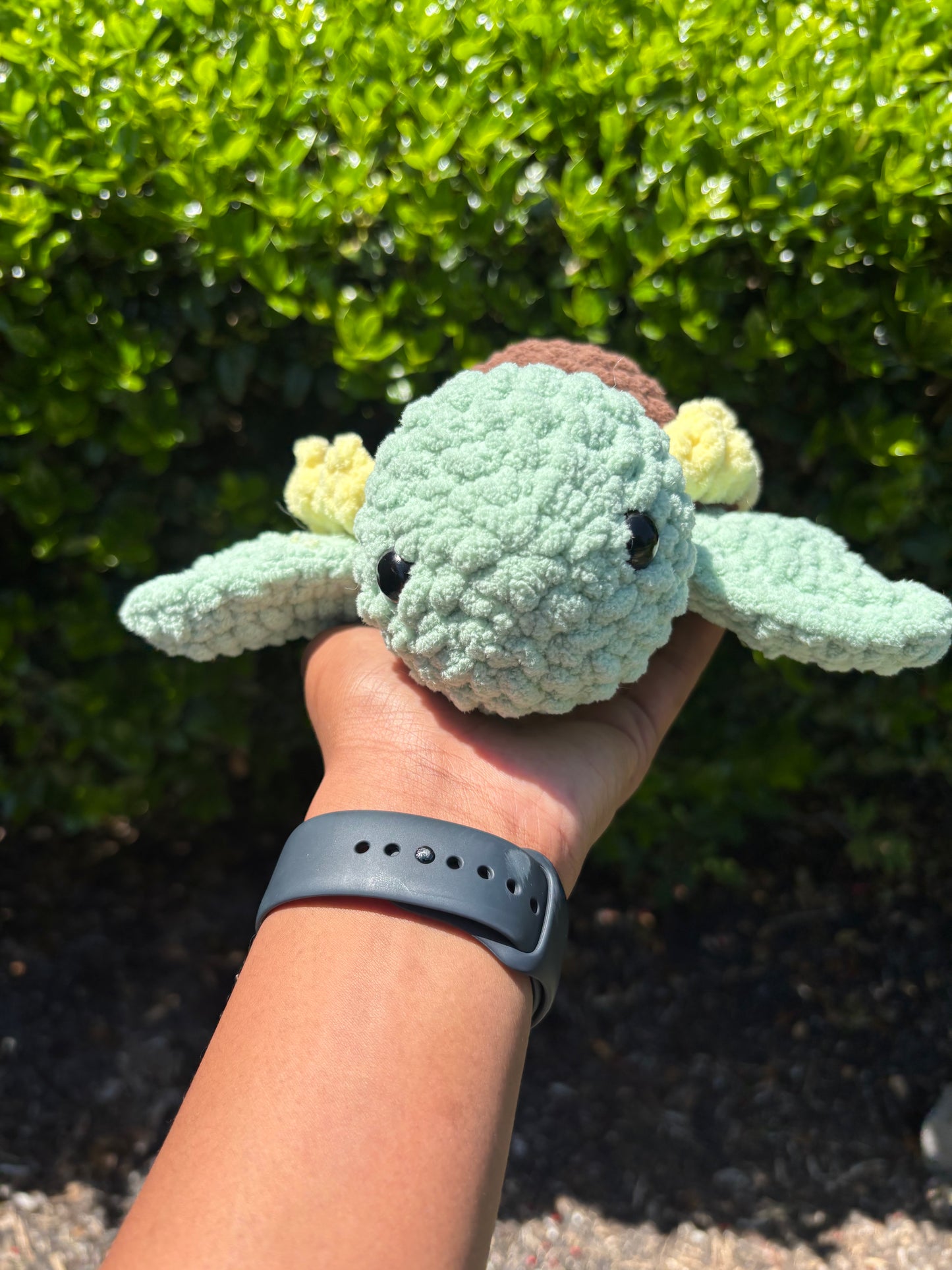 Sunflower Turtle