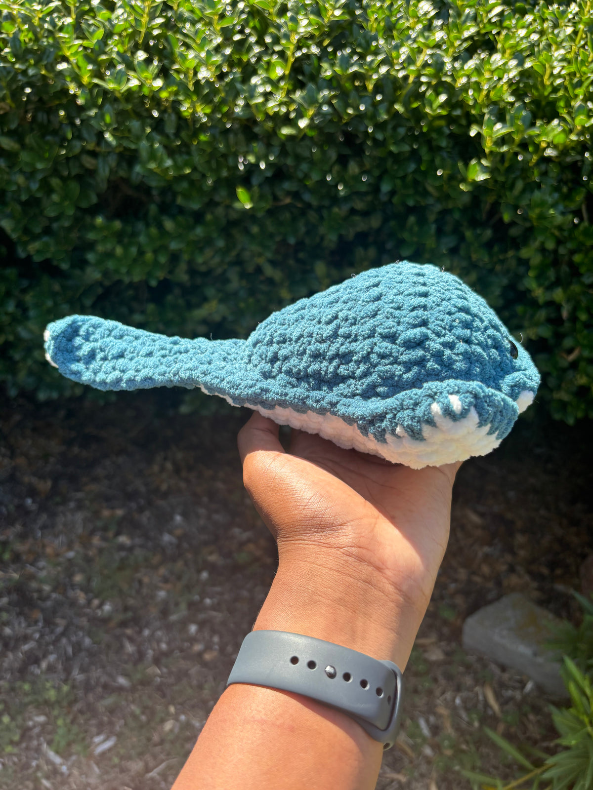 Dark Teal Stingray