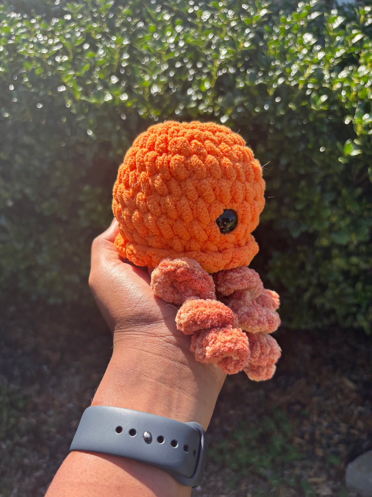 Orange Jellyfish