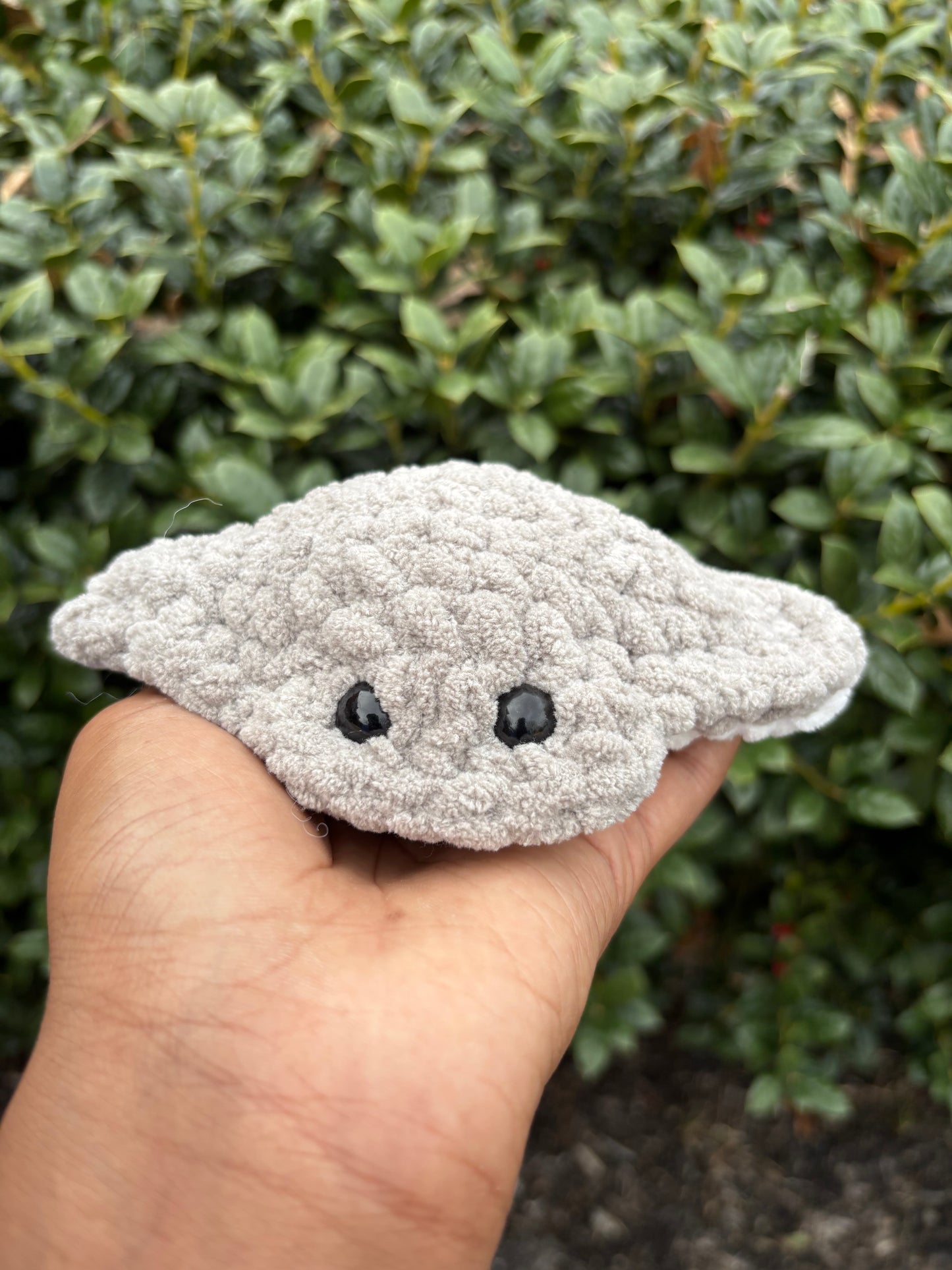 Gray Mini Stingray