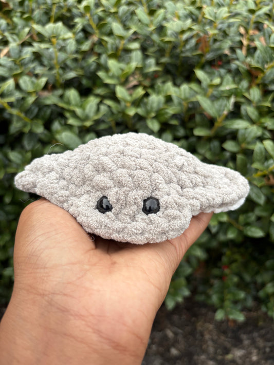 Gray Mini Stingray