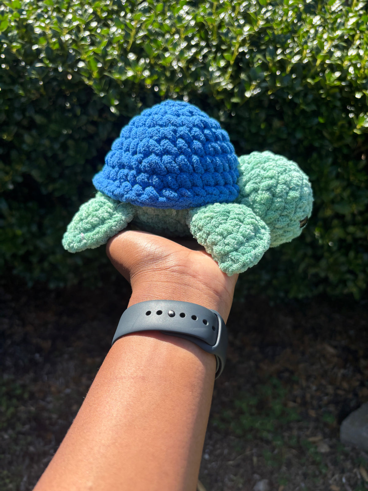 Mystical Green & Blue Turtle