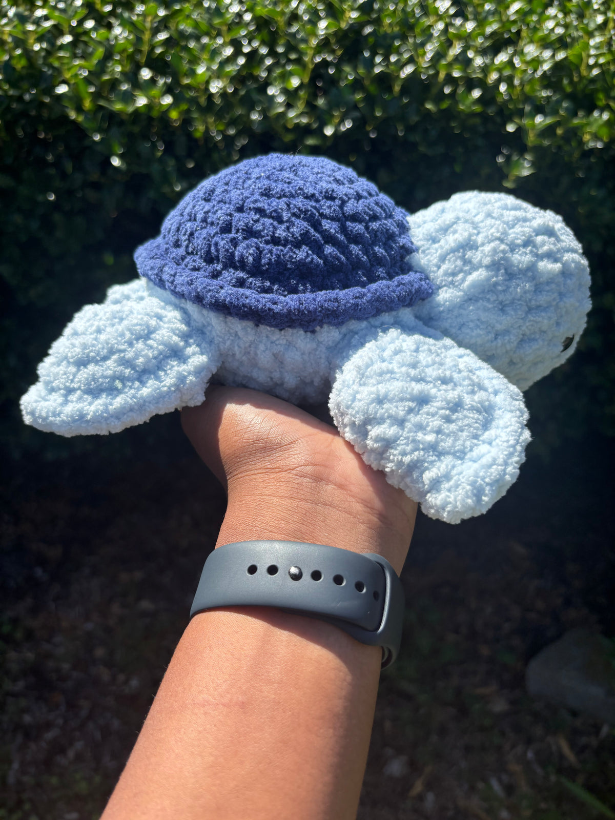 Blue Turtle