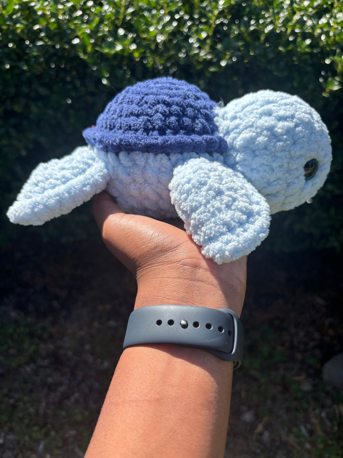 Blue Turtle
