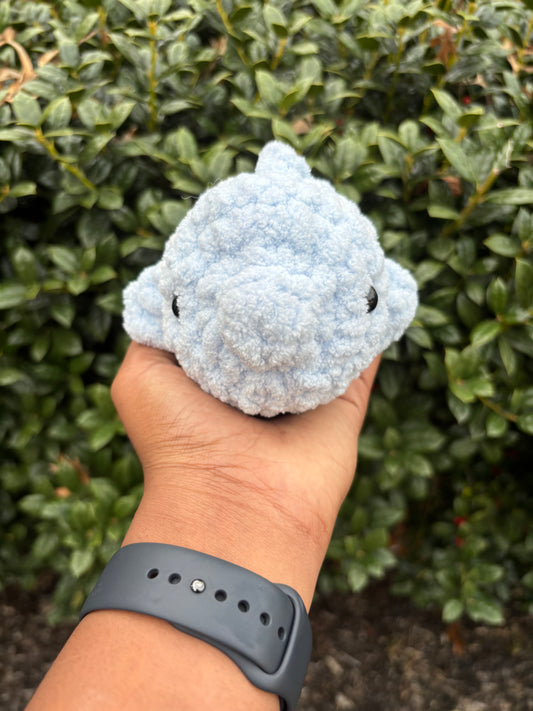Light Blue Fish