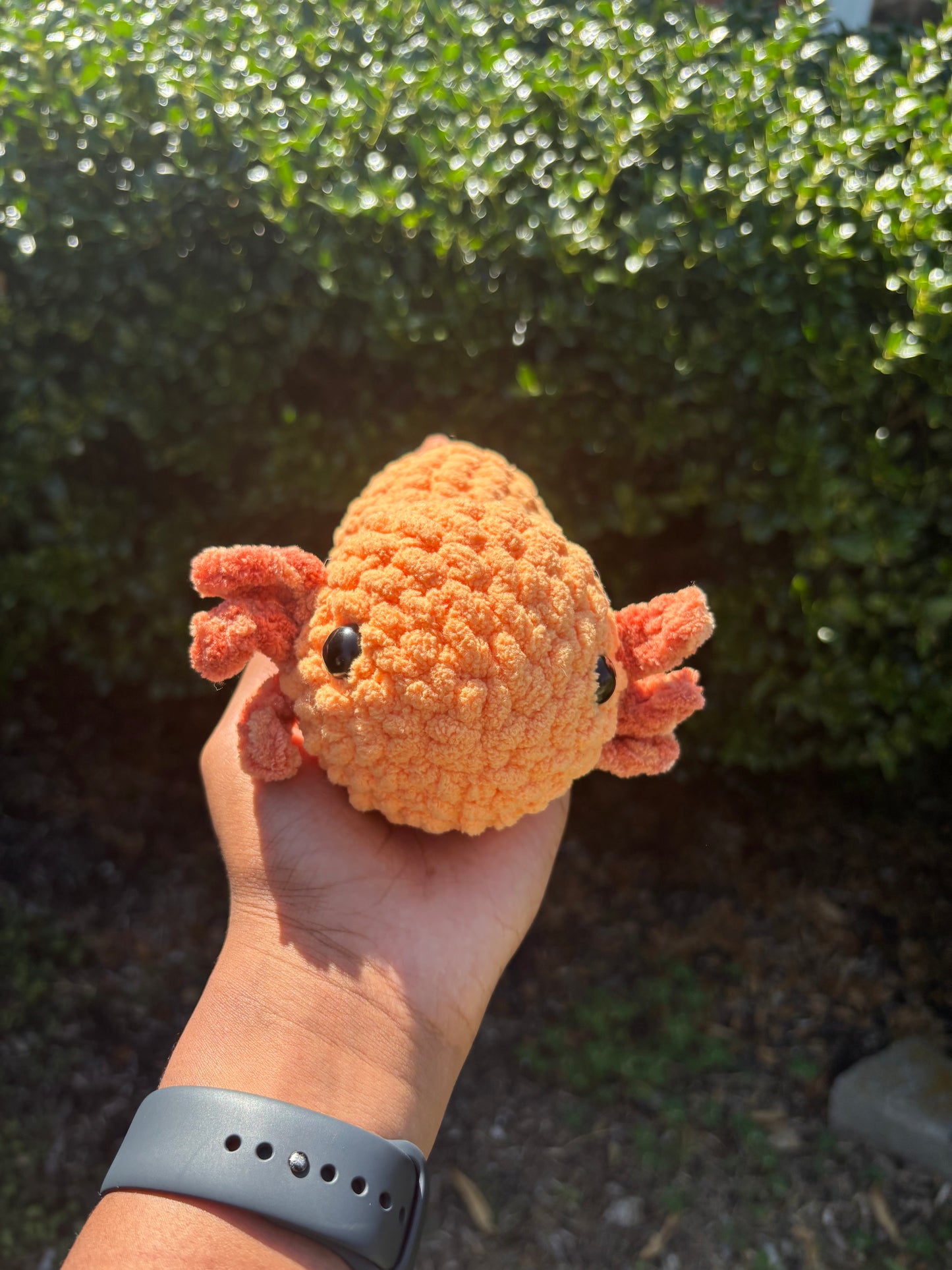 Orange Axolotl