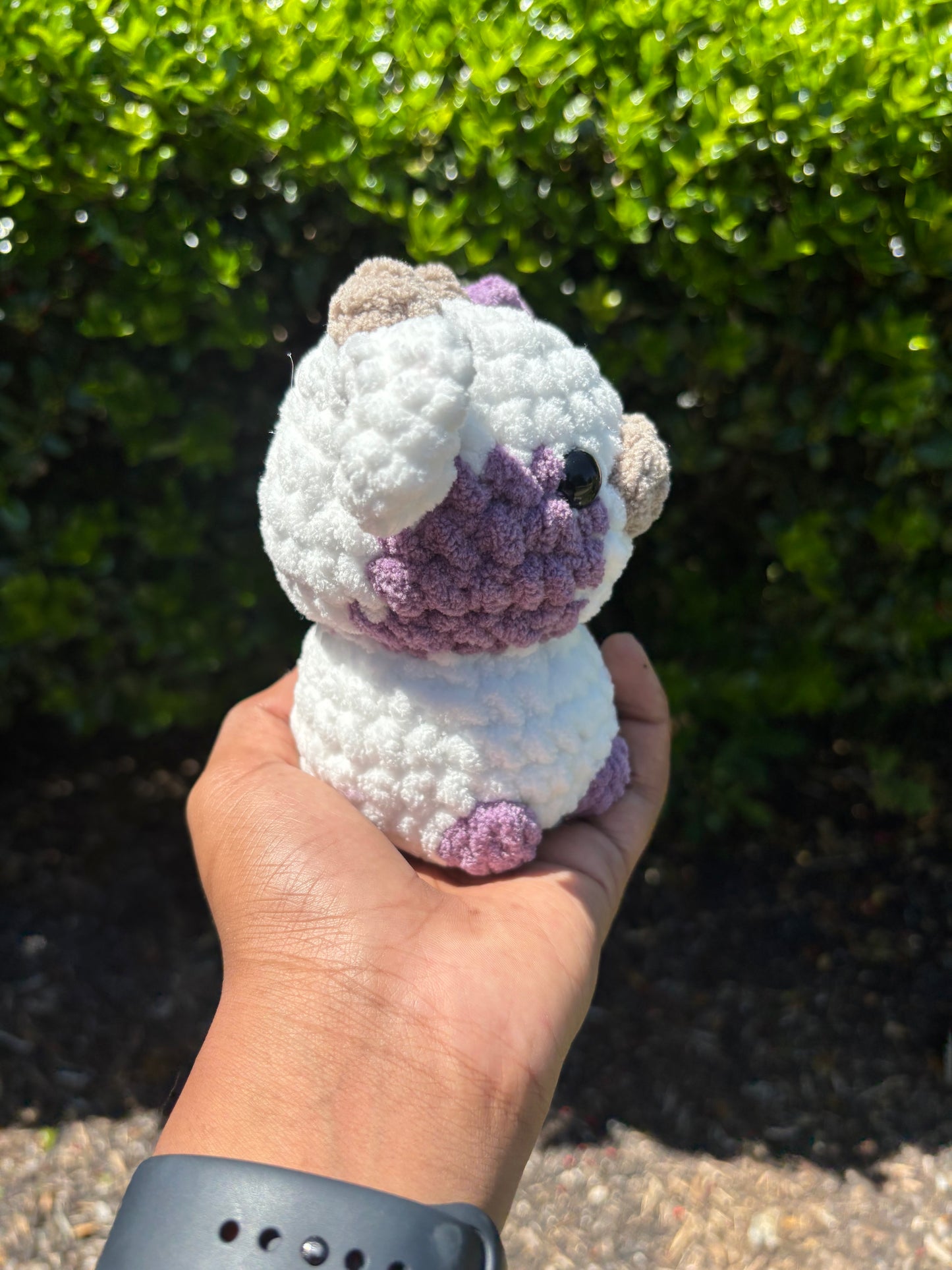 Purple & White Cow