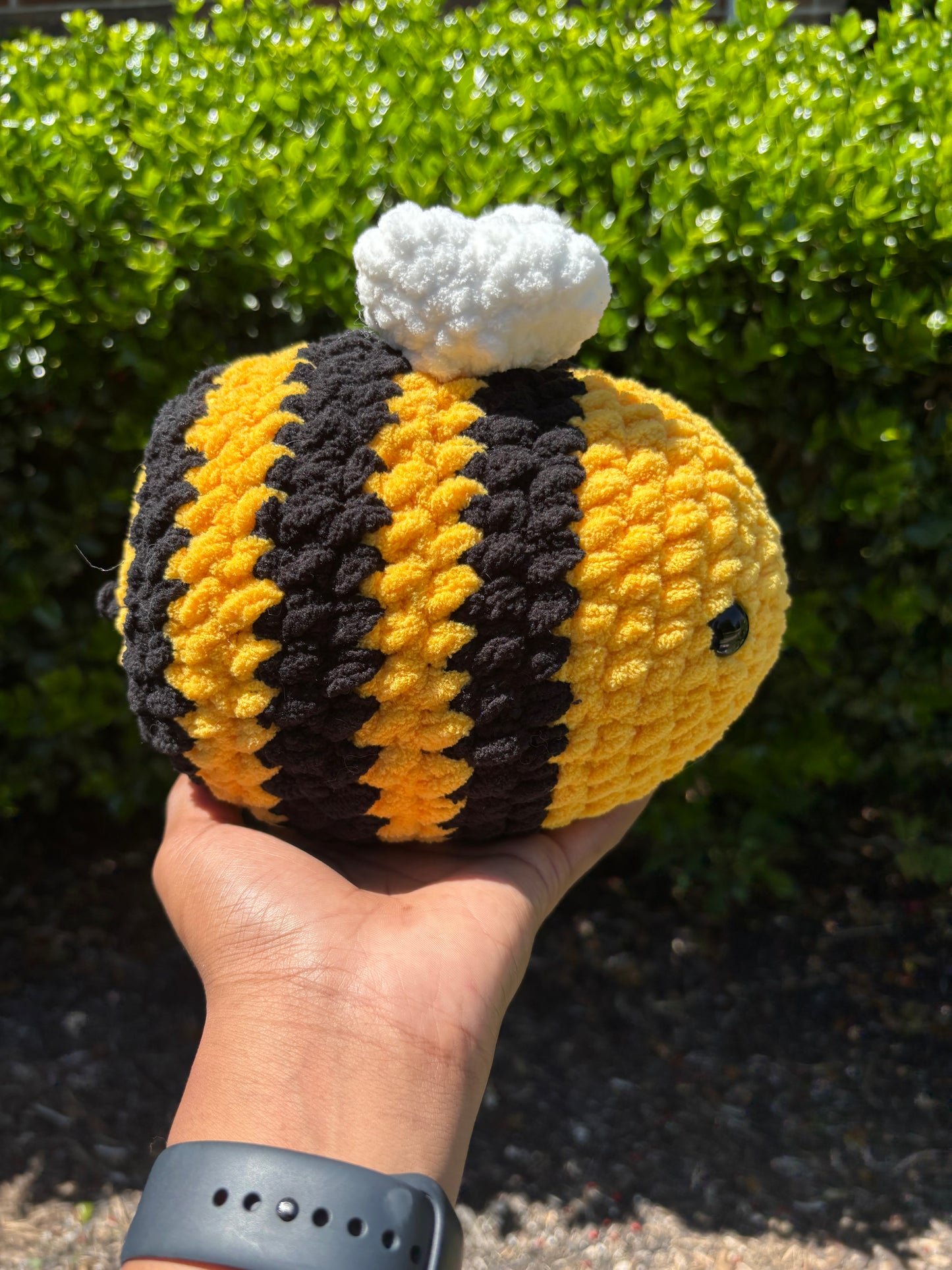 Jumbo Bee