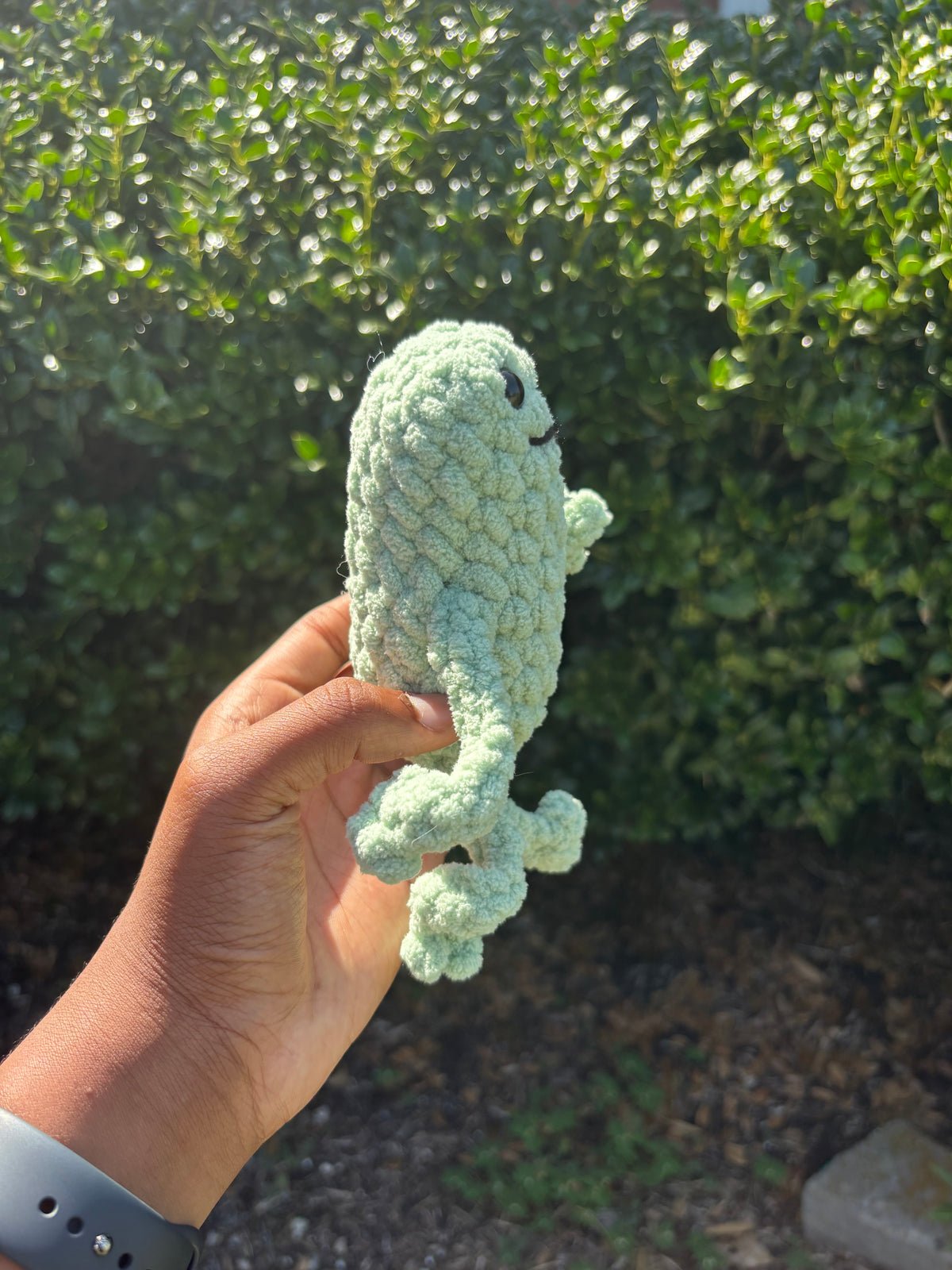 Sage Leggy Frog