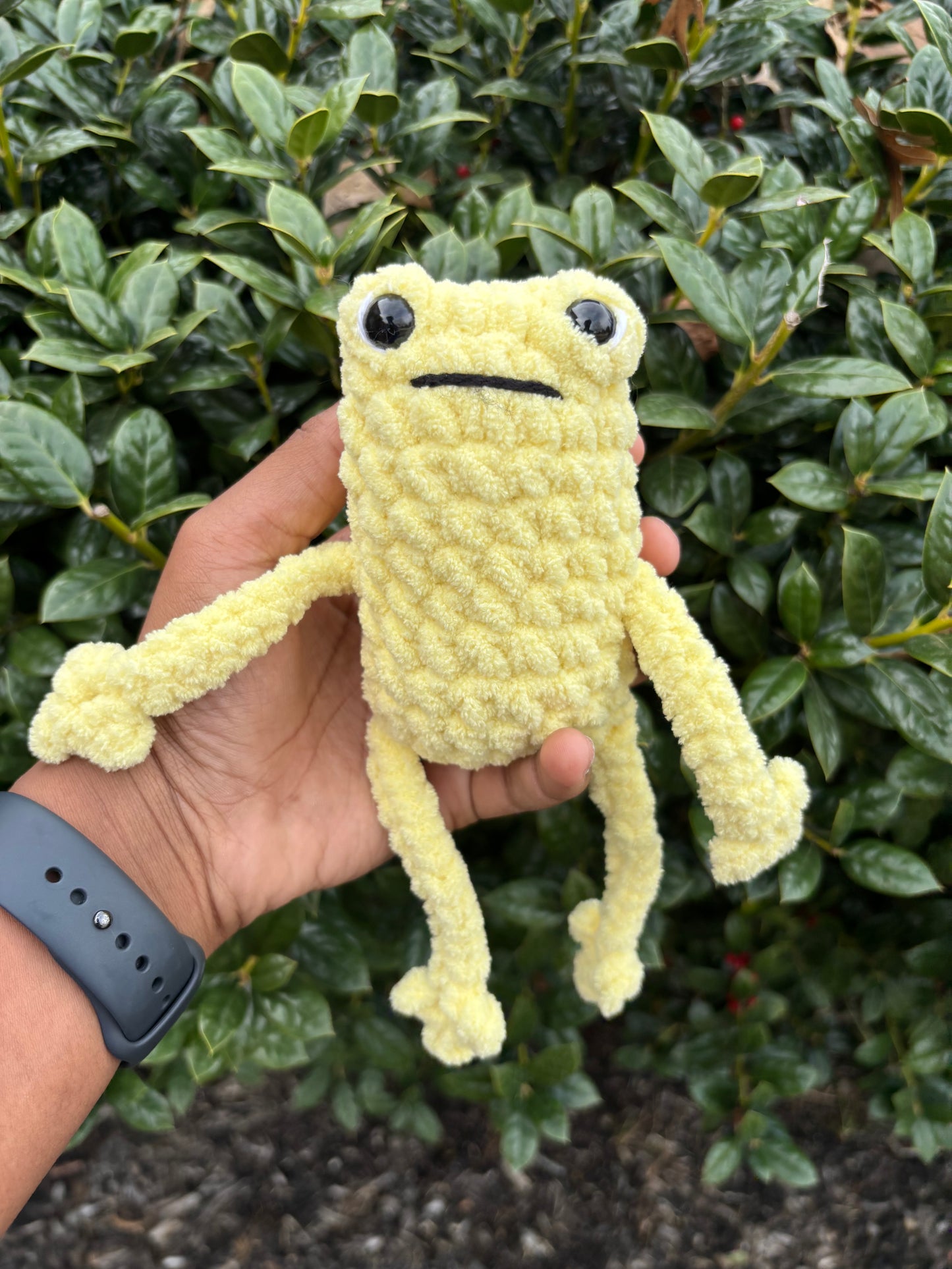 Yellow Leggy Froggie