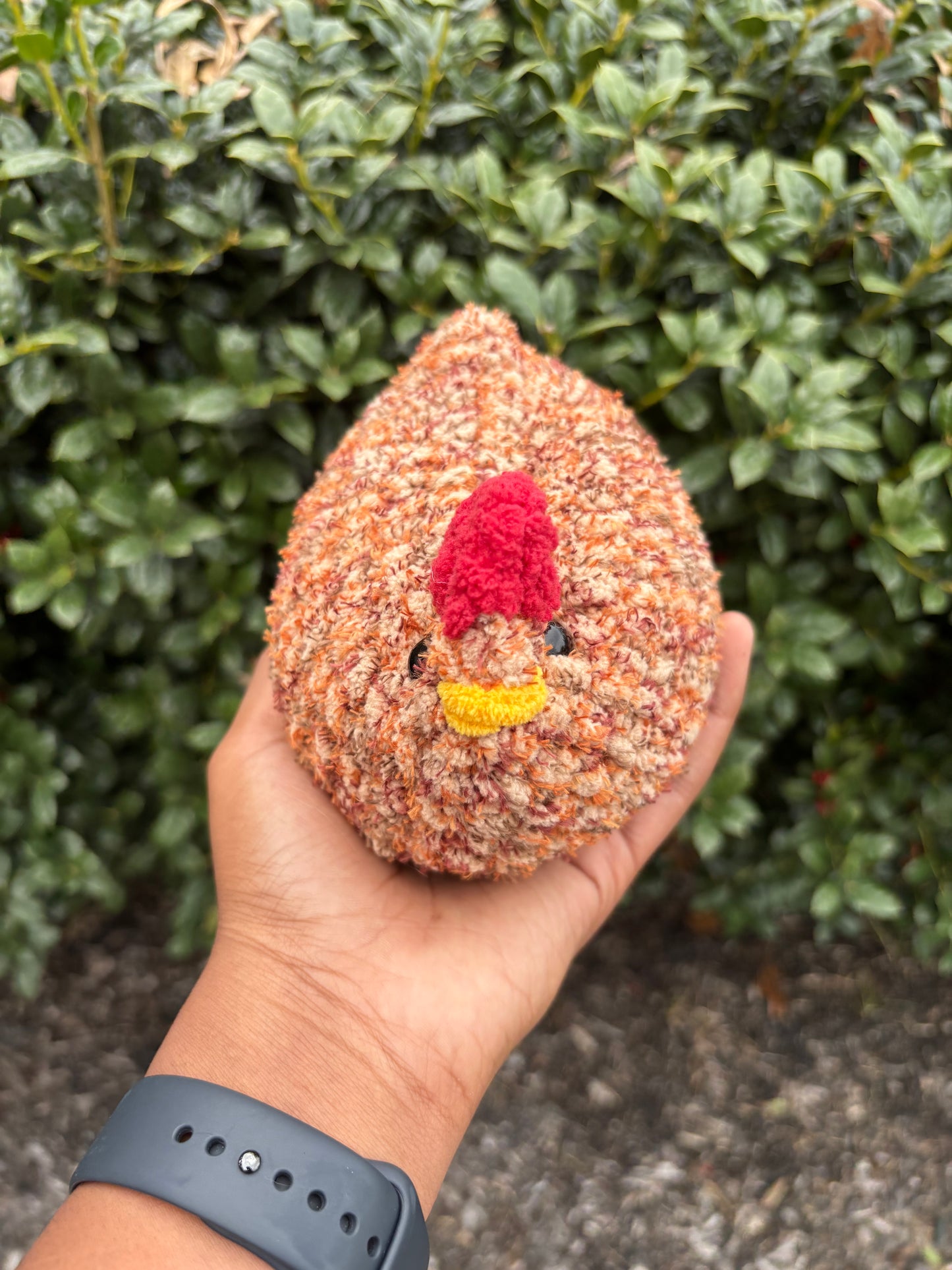 Sandy Tweed Chicken