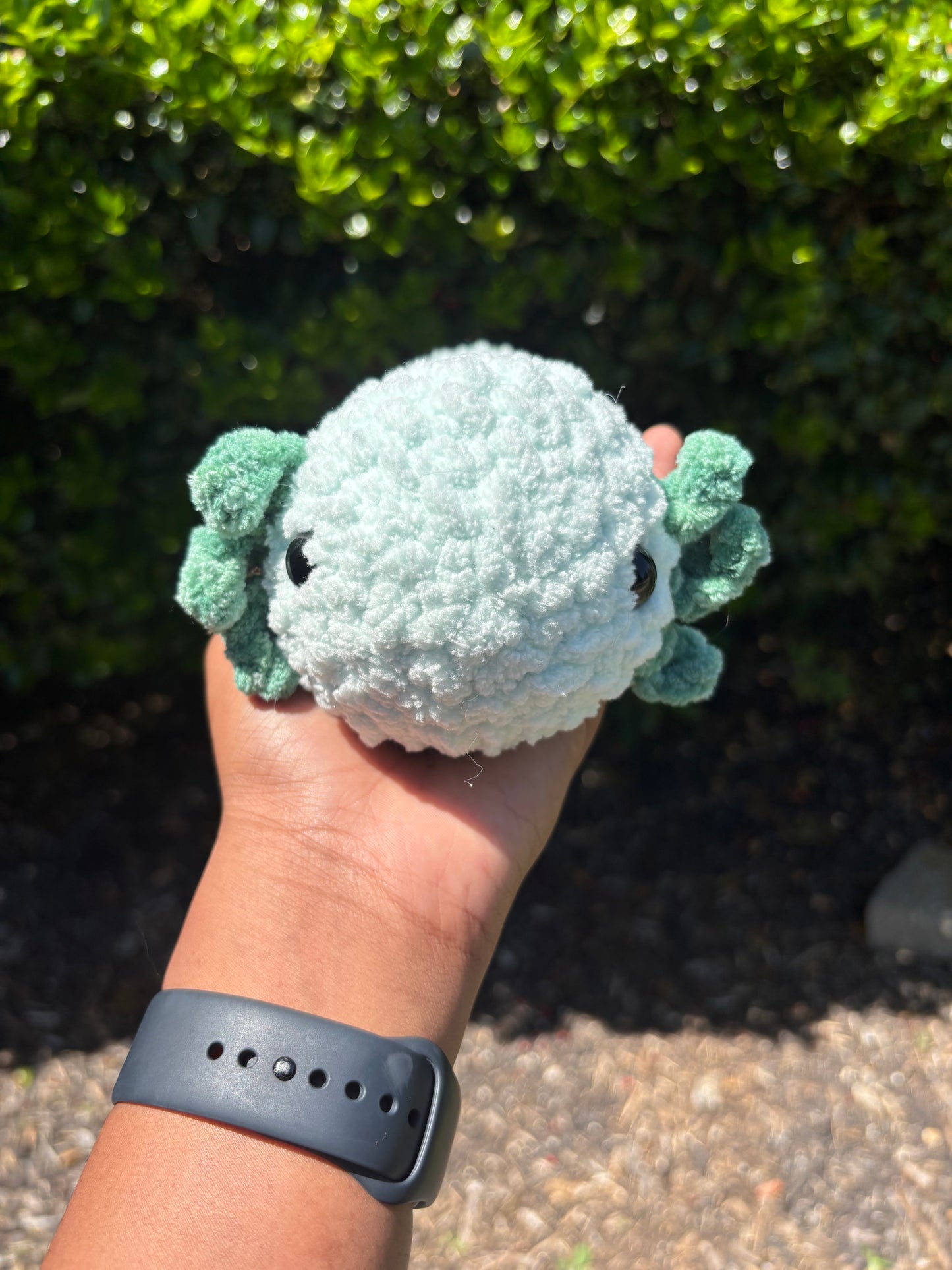 Mint & Light Teal Axolotl