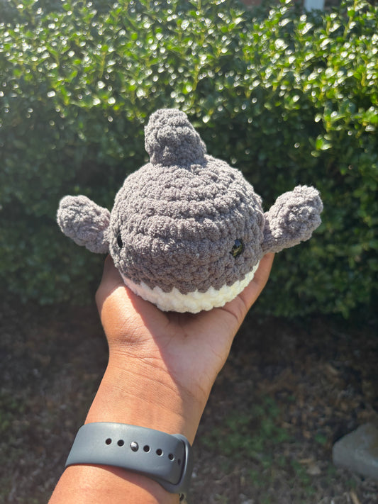Dark Gray Shark