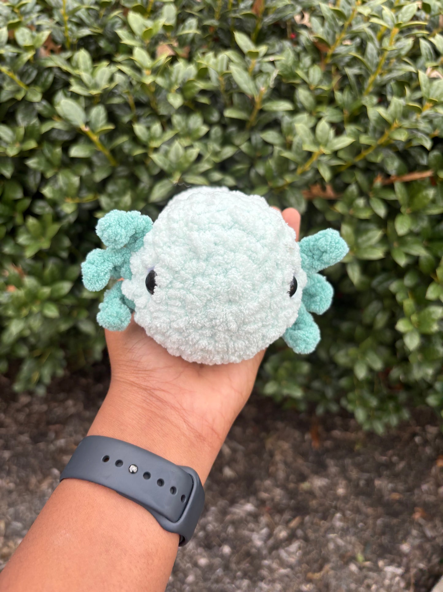 Mint & Light Teal Axolotl