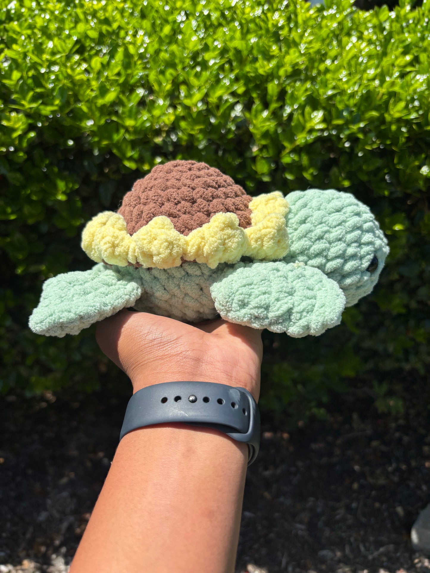 Sunflower Turtle