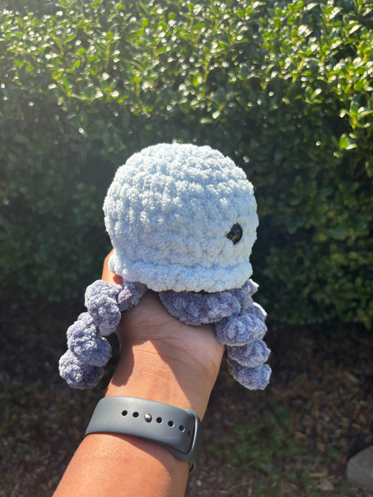 Blue Jellyfish