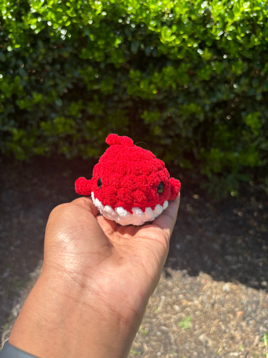 Red Mini Shark