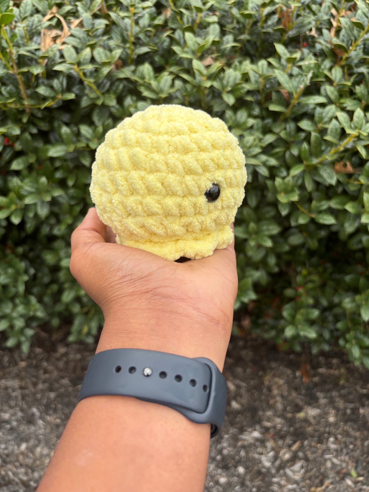 Yellow Octo