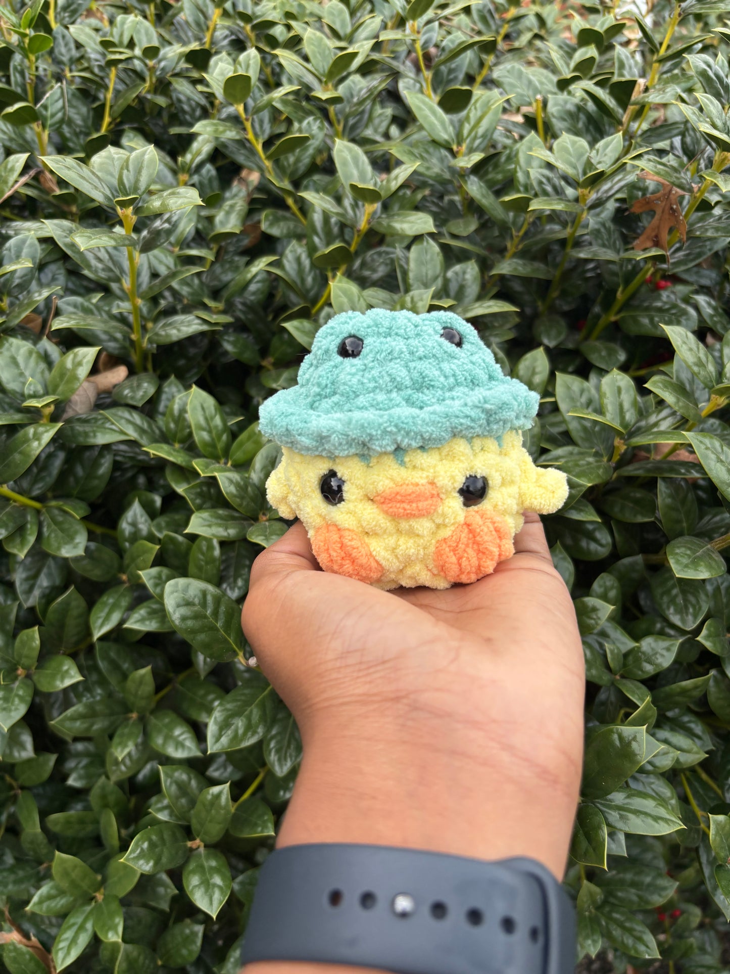 Duck in Frog Hat