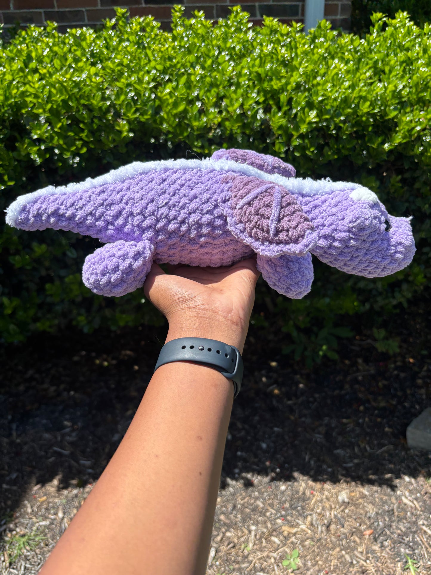 Purple Dragon