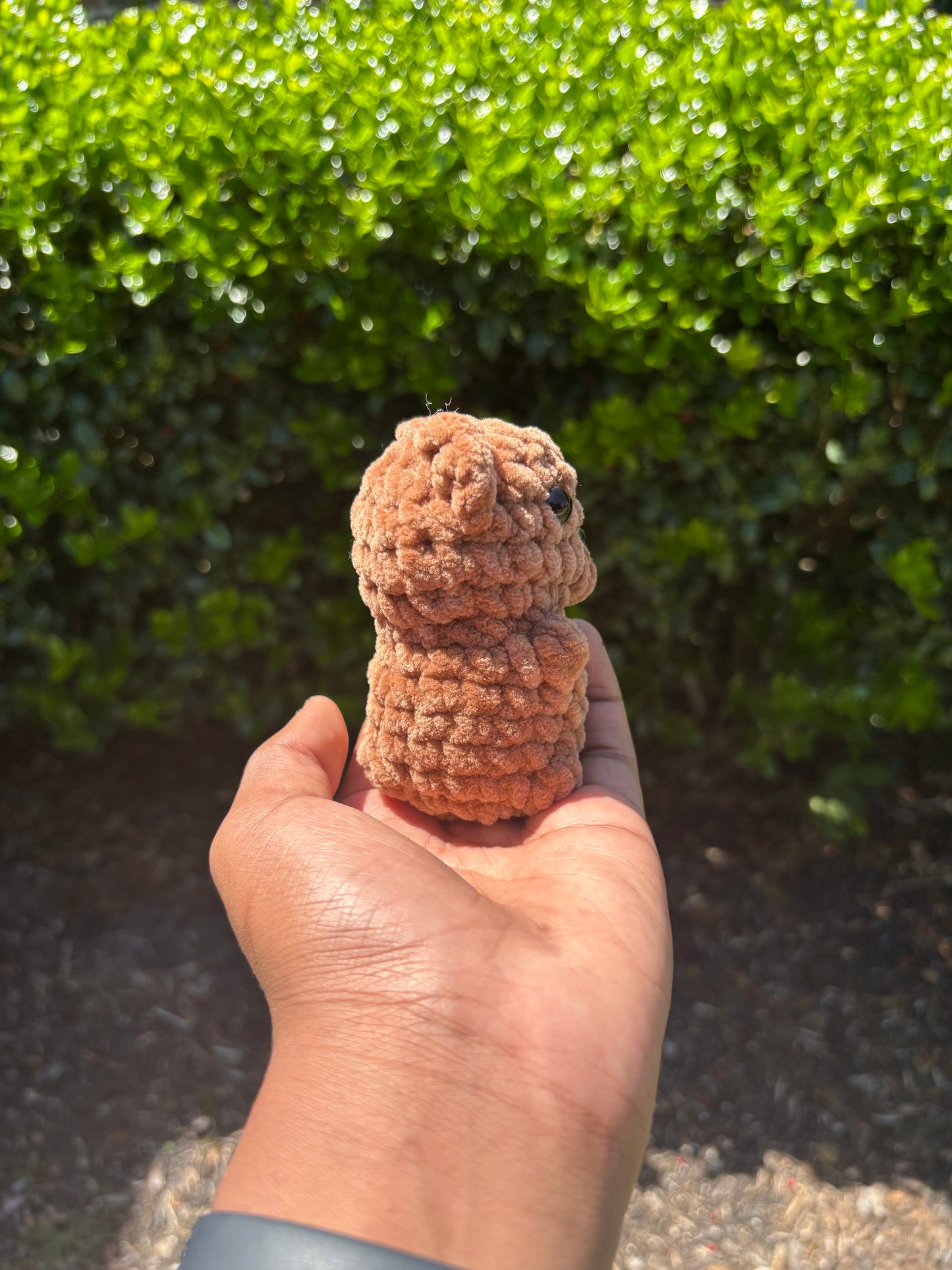 Brown Mini Bear