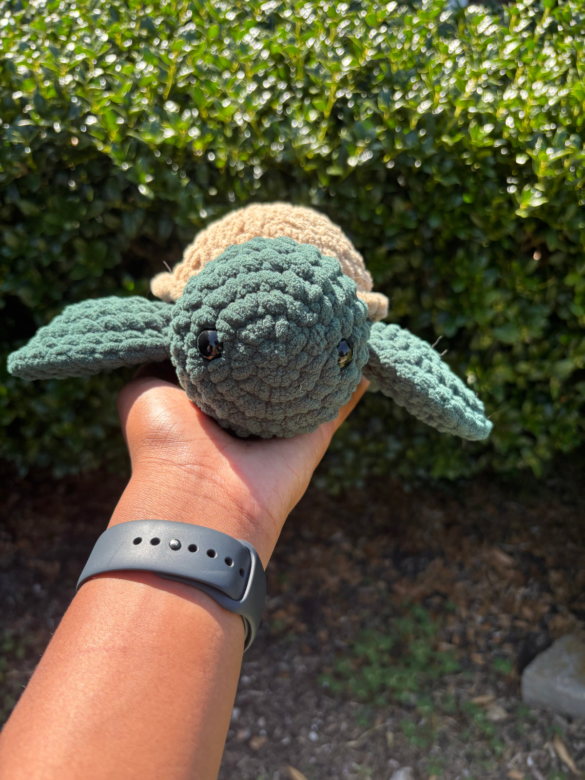 Dark Green & Brown Turtle