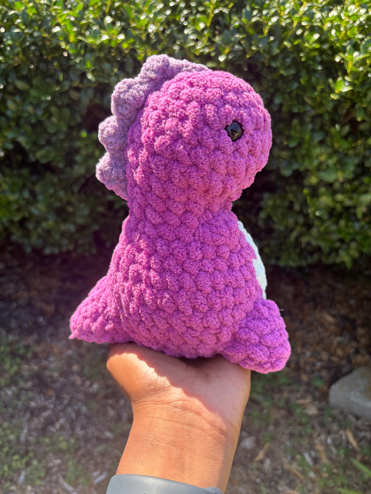 Orchid Chubby Dino