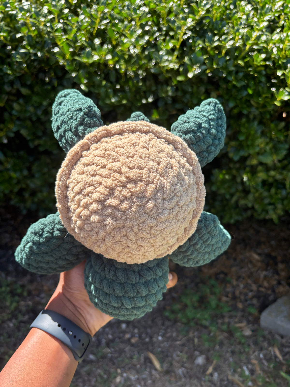Dark Green & Brown Turtle