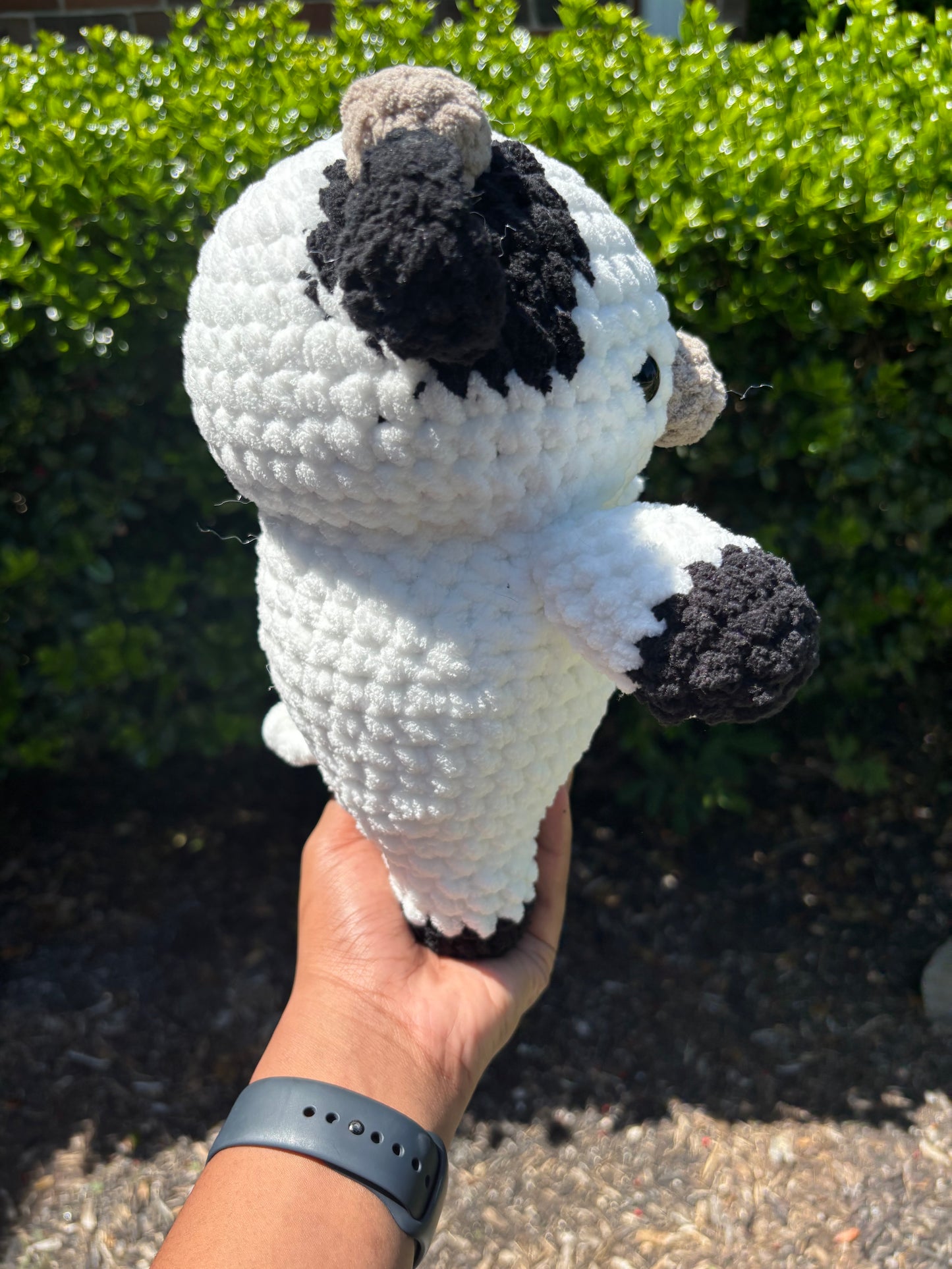 Jumbo Black & White Cow
