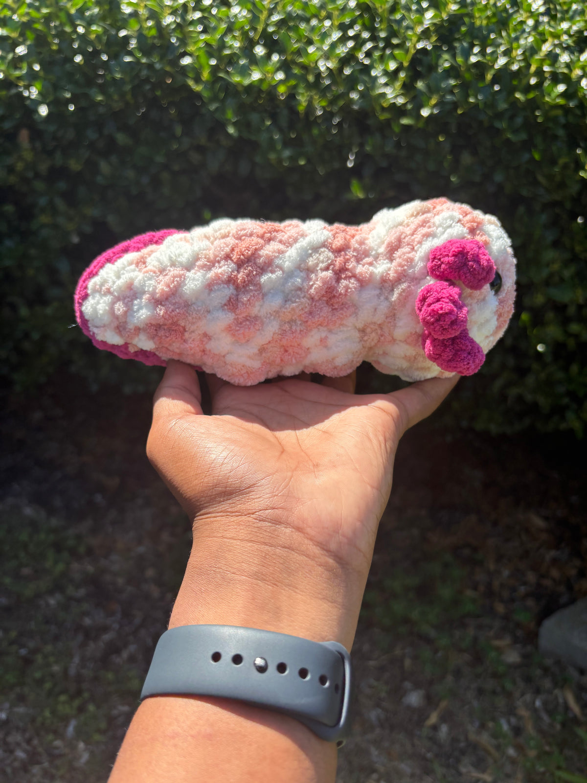 Variegated Pink Axolotl