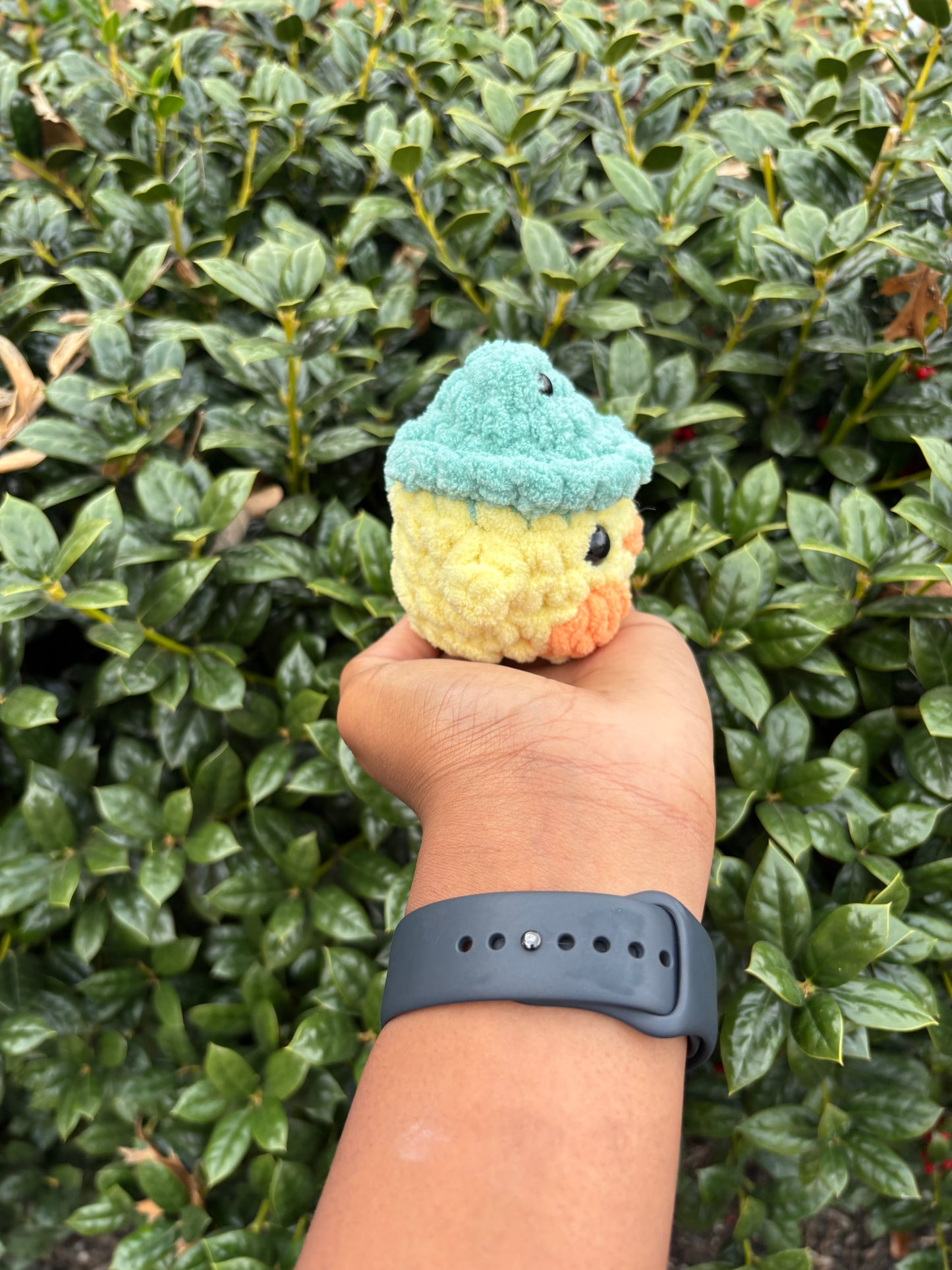 Duck in Frog Hat