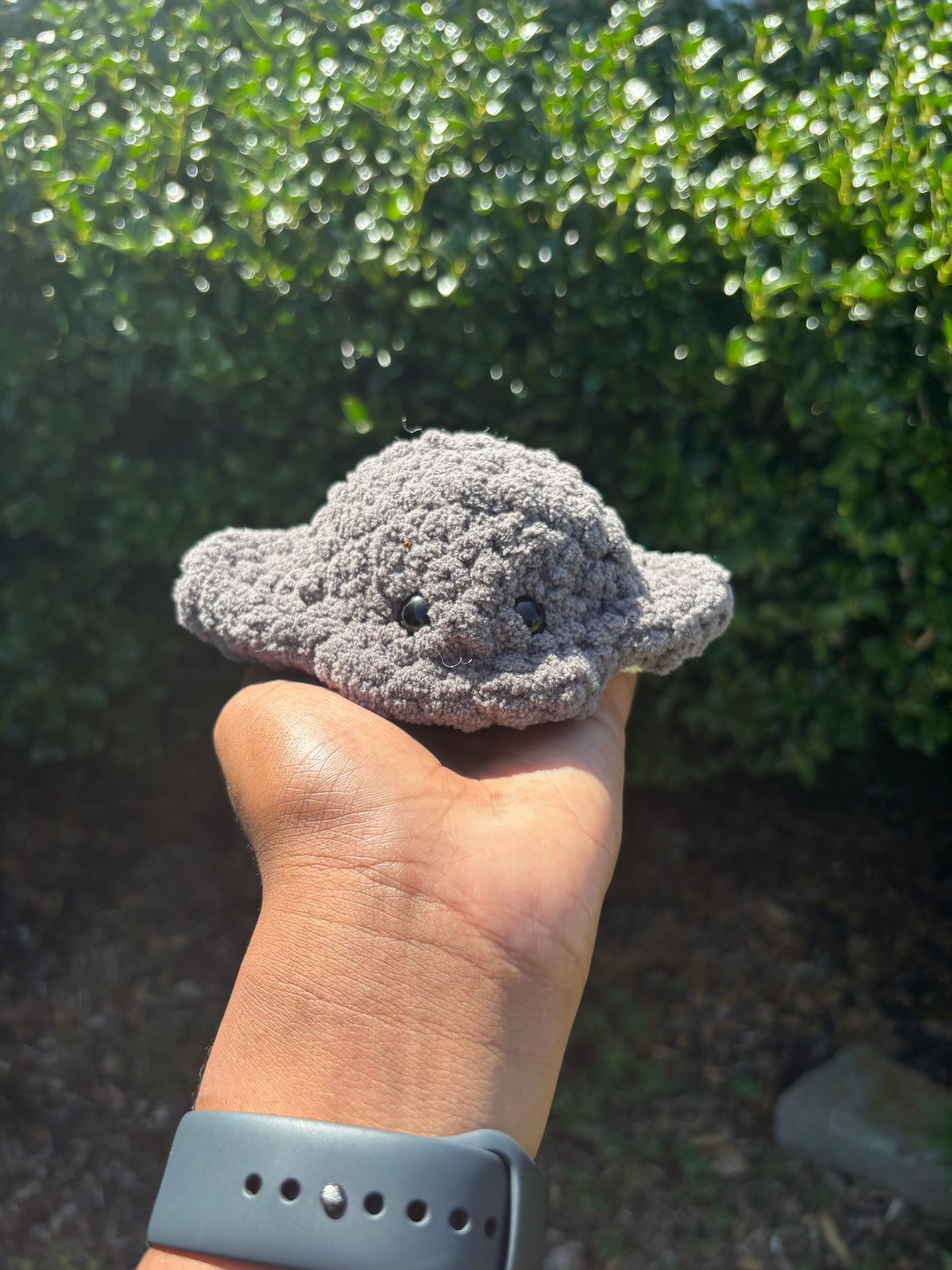 Dark Gray Mini Stingray