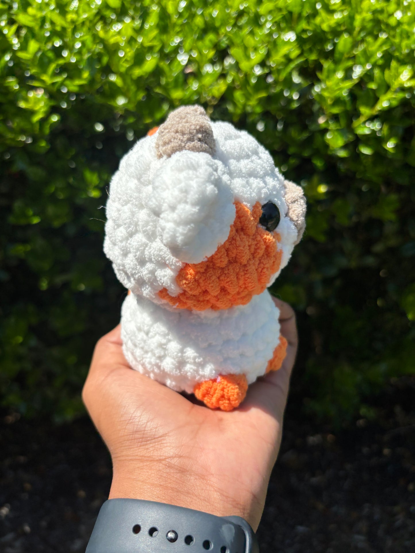 Orange & White Cow