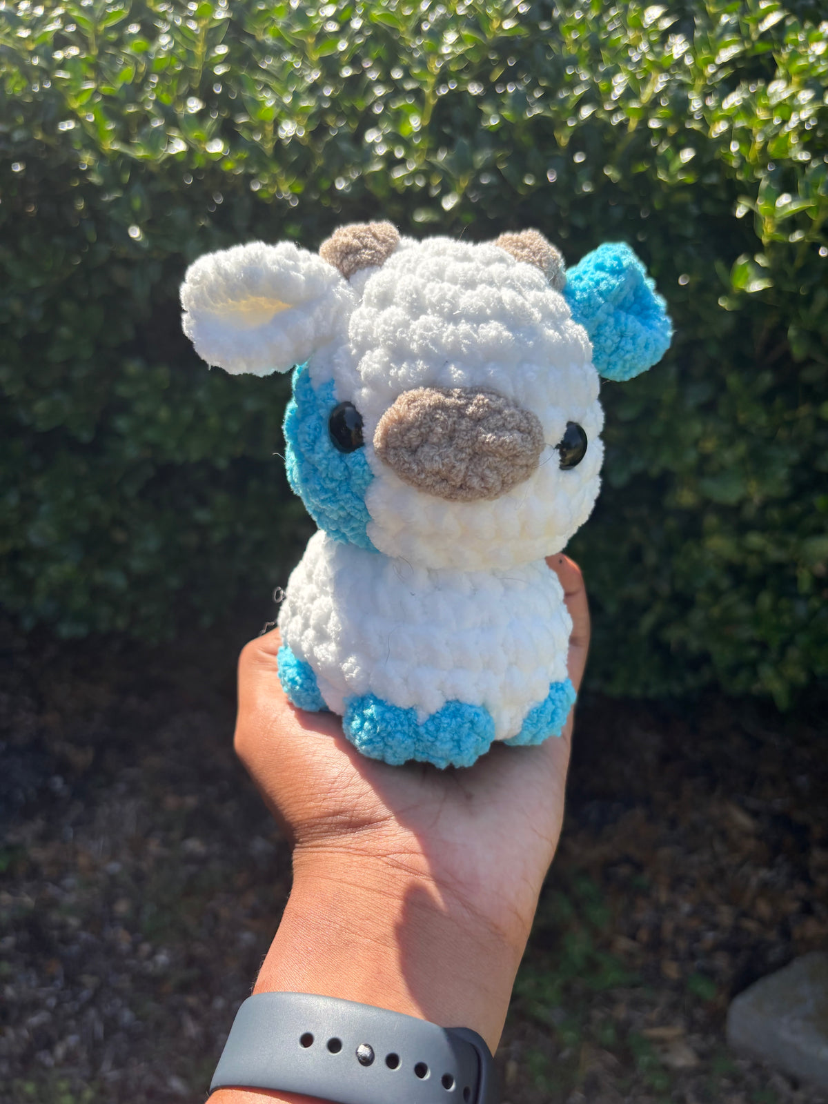 Electric Blue & White Cow