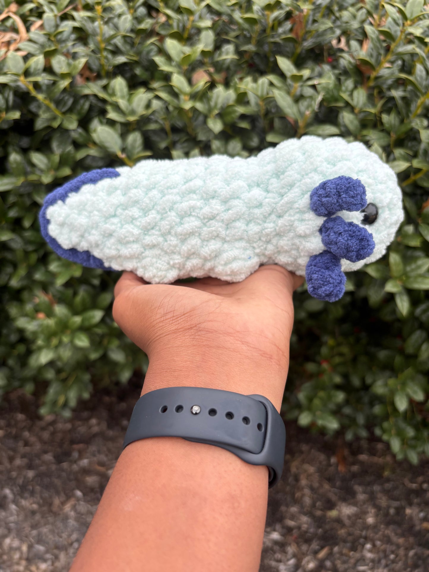 Mint & Navy Blue Axolotl