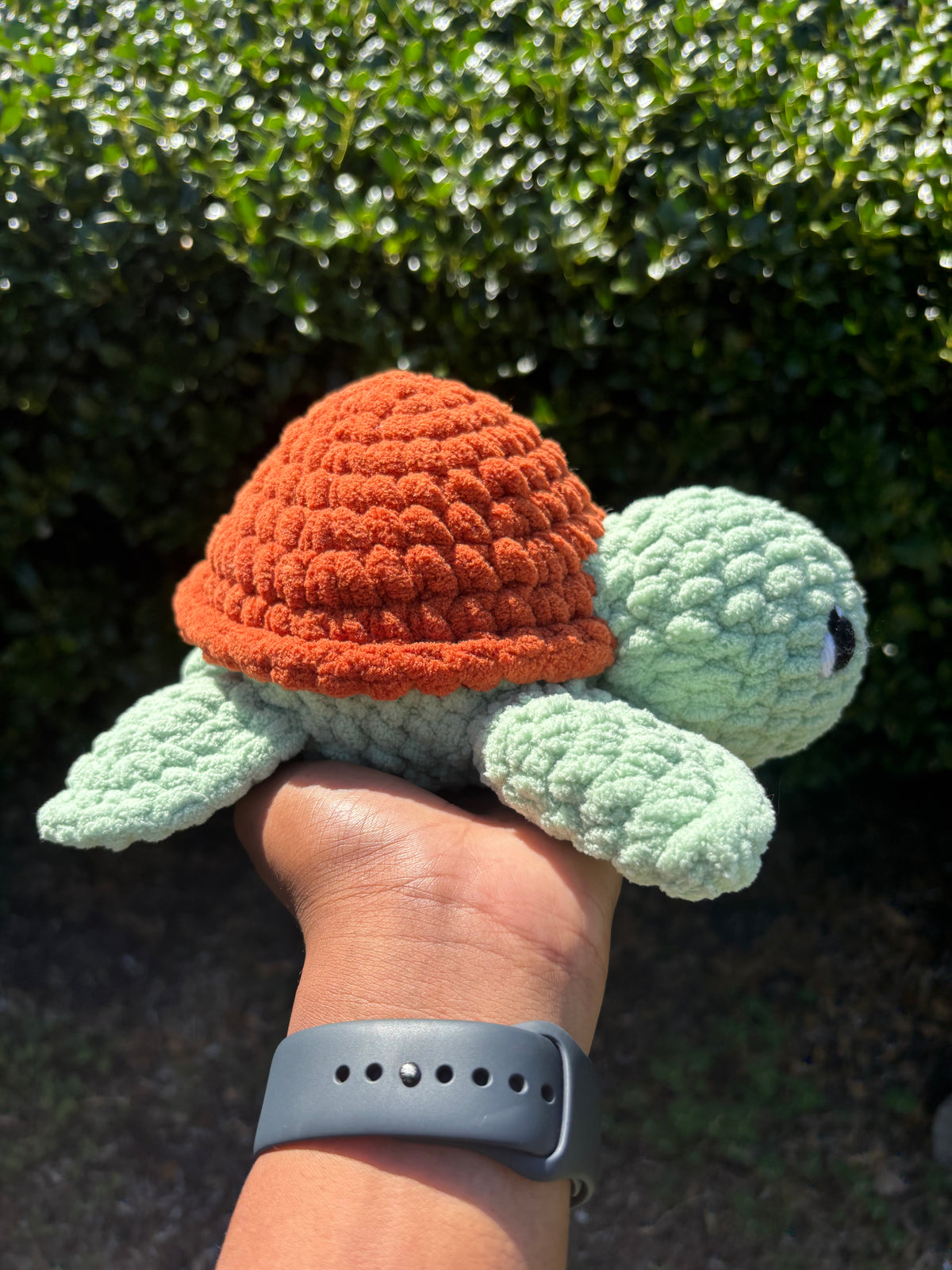 Clary Sage & Cinnamon Turtle