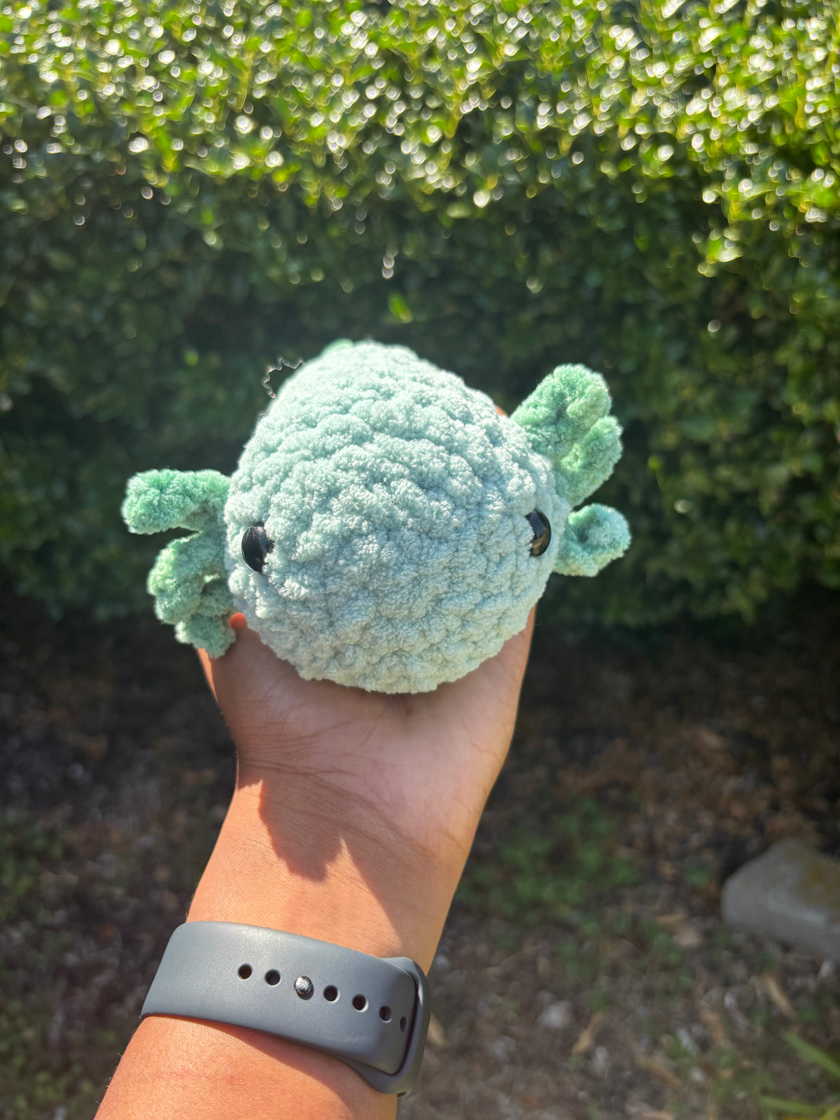 Teal & Green Axolotl