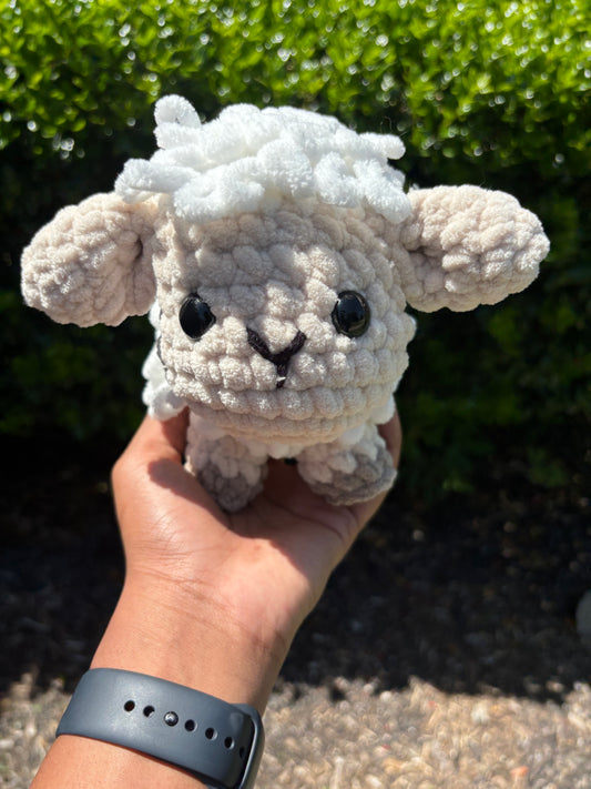 Sheep
