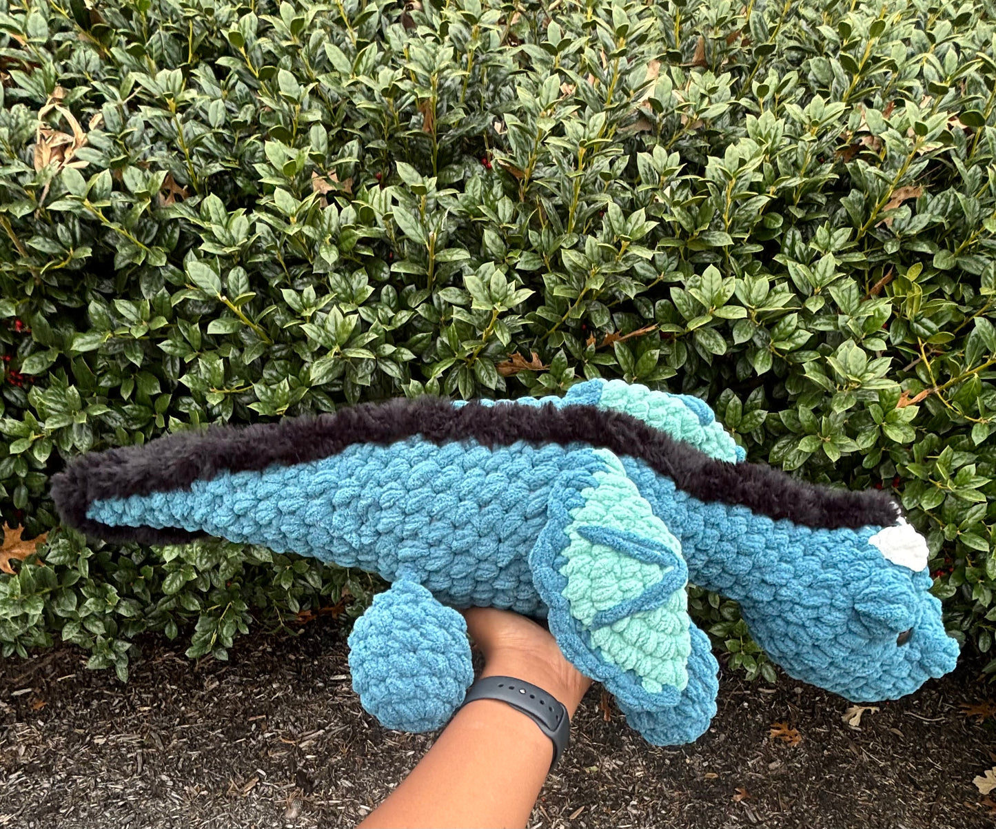 Jumbo dragon
