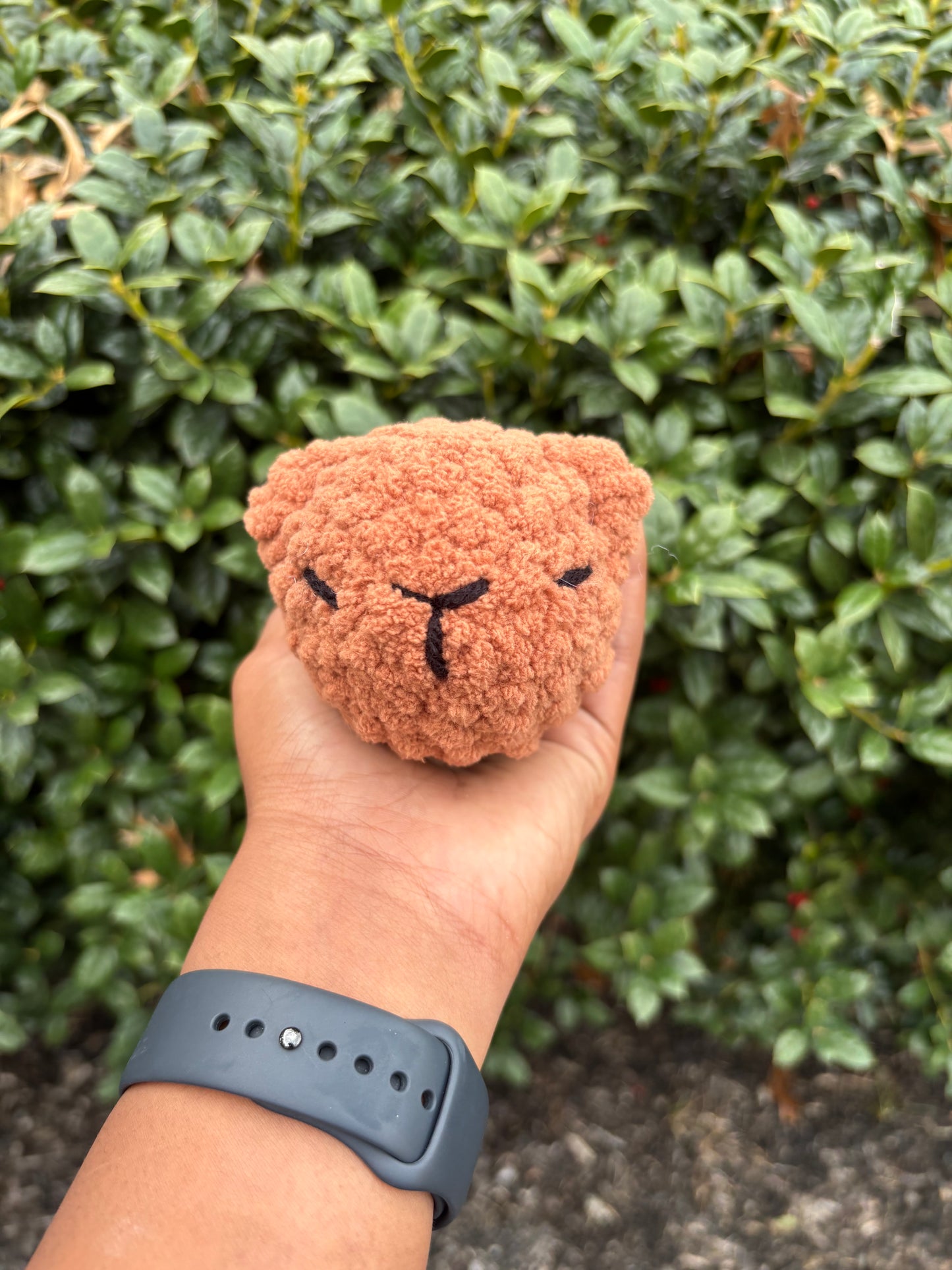 Capybara