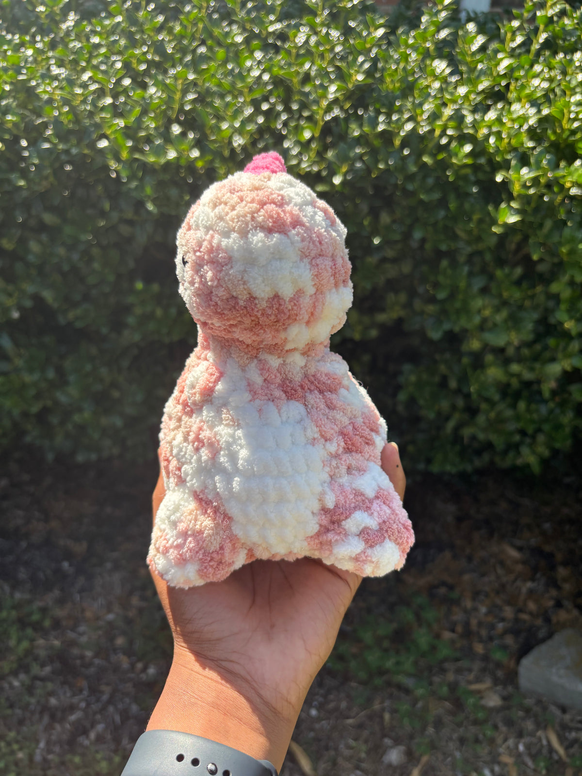 Variegated Pink Chubby Dino
