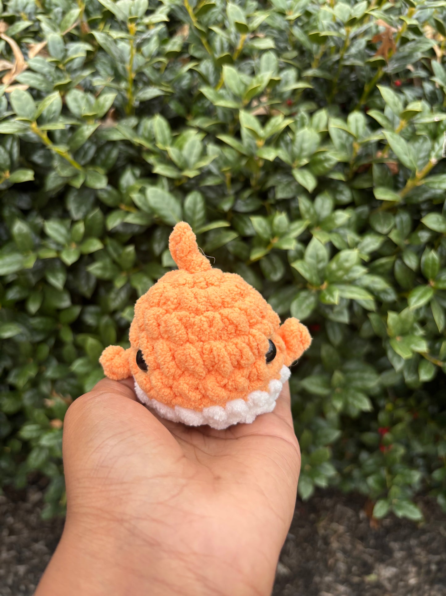 Orange Mini Shark