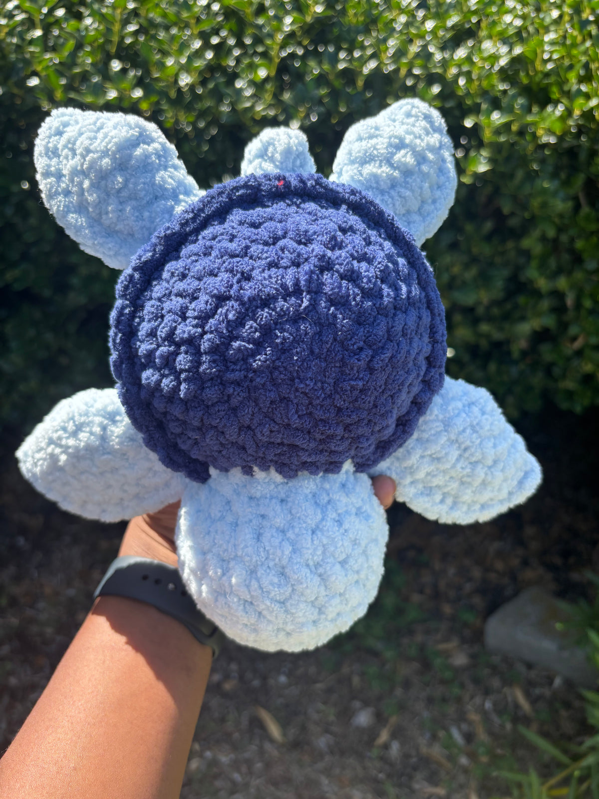 Blue Turtle