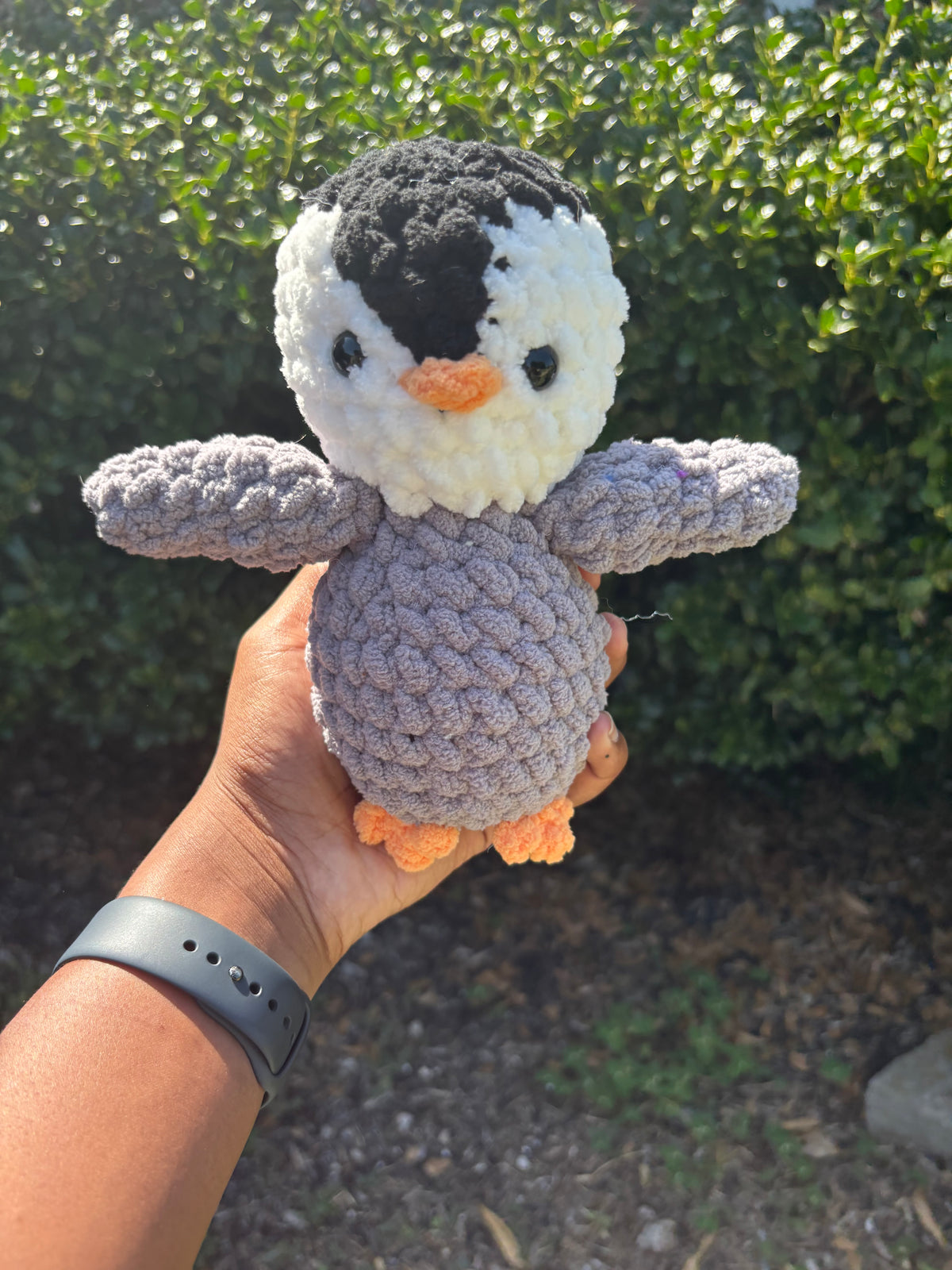 Gray Penguin
