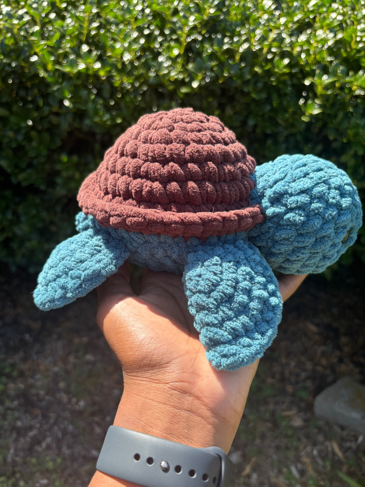 Dark Teal & Dark Brown Turtle